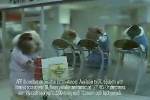 Egg Credit Card - Guinea Pig Testing